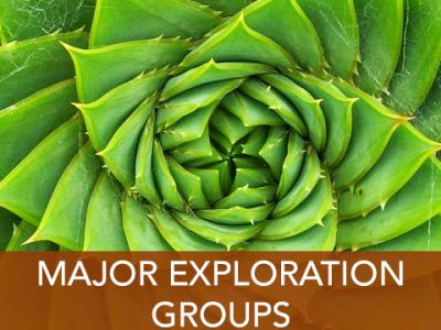 Major Exploration Groups